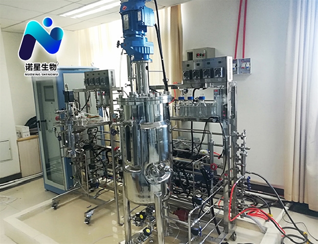 10L-50L二級生物發酵系統